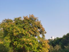 -元大都城垣遗址公园