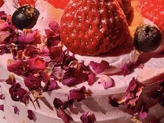 -维尔纳斯·生日蛋糕·动物奶油冰淇淋蛋糕(六里桥店)