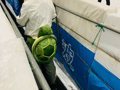 -绍兴启迪乔波冰雪世界