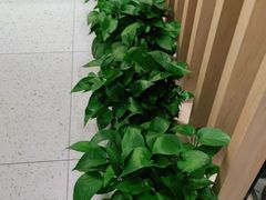 -麦悠悠·SPA·推拿(太阳山路店)
