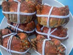 -品鲜村农家菜·阳澄湖大闸蟹(总店)