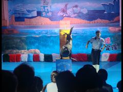 -顺德南宏海立方海洋公园