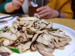 -蒙料·手把肉(望京店)