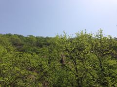 iphone_upload_pic-北京水岸山吧度假村(雁栖镇店)