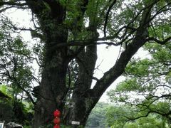 android_upload_pic-千岛湖龙川湾