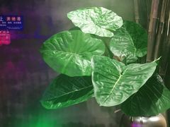 -观唐足道SPA养生会馆(南湖店)