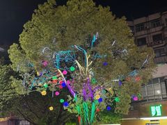 -金砂公园