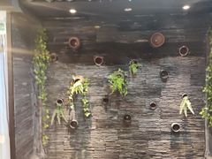 -一只烧鸡公(解放碑店)