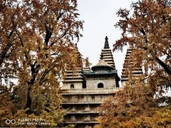 -北京石刻艺术博物馆(五塔寺)