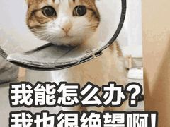 -梅梅家的烤肉店(槐北路店)