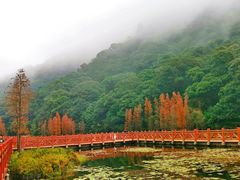 -广州市石门国家森林公园