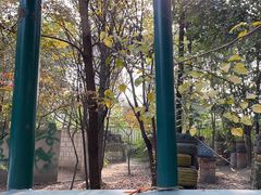 -勇士之星真人CS·团建·拓展(清水河公园店)