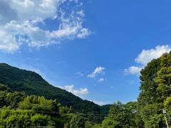 -长沙黑麋峰国家森林公园
