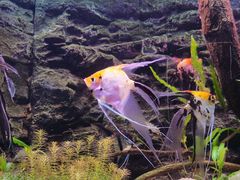 -上海海洋水族馆