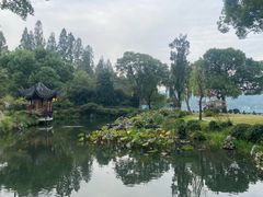 -杭州西湖柳莺里酒店