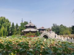 -莲池书院博物馆