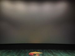 -春天国际影城(中庚漫游城杜比全景声店)