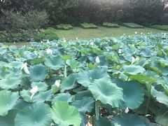 -御花园·粤菜·海鲜火锅(中山公园店)