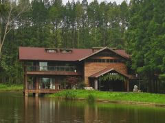 -黄海国家森林公园