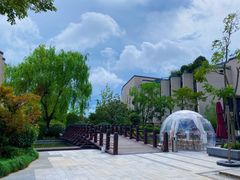 -上海崇明金茂凯悦酒店