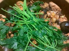 -食爺炭炉鸡煲·烧烤