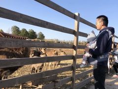 -安德鲁户外烧烤帐篷营地(马泉营店)