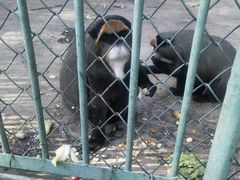 -秦皇岛野生动物园