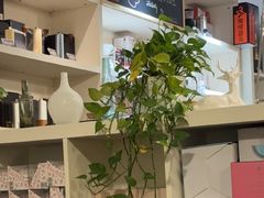 -红卡Cafe(尚8里店)