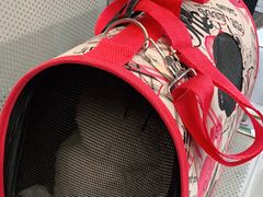 -安安宠医·安宠宠物医院