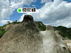 -大岭沟猕猴桃谷风景区