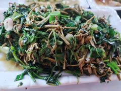 -中原农家乐(中原饭店)