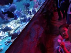 -皇家极地海洋世界-售票处