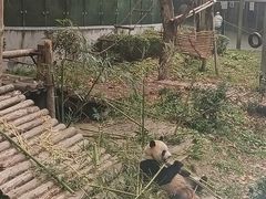 -黔灵山公园