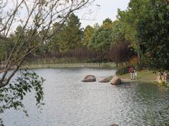 -美兰湖景区