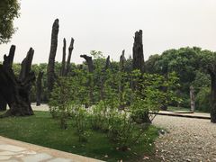 -金沙遗址博物馆