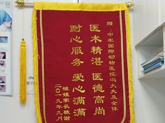 -中农国际动物医院24小时·猫科·骨科·急重症中心