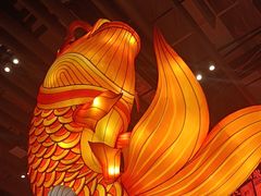 -天辣(金桥啦啦宝都店)