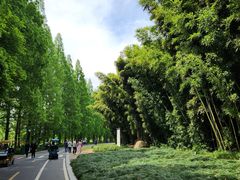 -采石矶景区