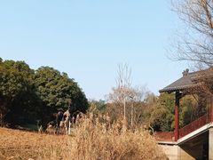 -幕燕滨江·长江观音景区