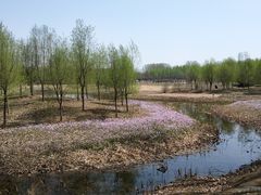 -东郊湿地公园