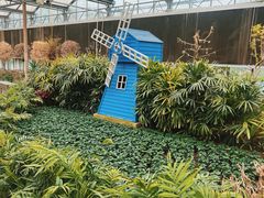 -南宫五洲植物乐园