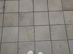 -龙口南山旅游景区