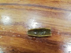 -老回回饺子馆(海洋馆店)