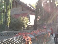 -晋祠公园