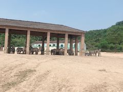 -杭州野生动物世界