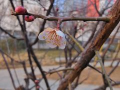 -山东大学(趵突泉校区)
