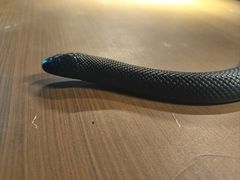 -抱暴龙爬宠·异宠·撸宠撸爬主题馆(大学路店)