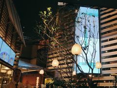 -桂满陇·海市蜃楼·黑金(国金店)