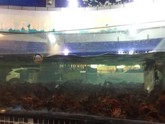 -虎门不夜天海鲜市场