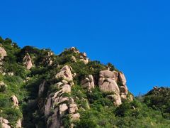 -大岭沟猕猴桃谷风景区